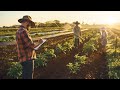 Fruit growers appear at ACCC inquiry