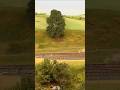 La Fête du Train au Pays des Grands Noms Meursault 2025 #modeltrains #trains #modelrailway #diorama