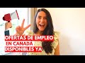 Oportunidades de empleo en CANADÁ I Aplicar YA!