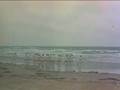 Ranker Video