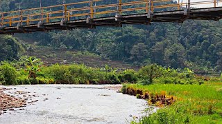 ? Relaxing Flowing River Under a Suspension Bridge in Sumedang, Indonesia