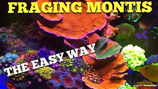 Fraging Montis  (The Easy Way)