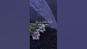 حالات واتس قرآن| القارئ شريف مصطفى