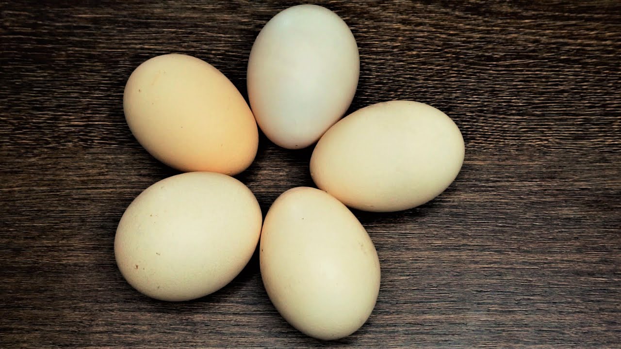 5 Яиц. Яйца из пятерки. Яйца пять дюймов. Игра пять яиц.
