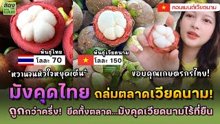 มังคุดไทย ถล่มตลาดเวียดนาม! ราบคาบ ถูกกว่าครึ่งๆ | คอมเมนต์เวียดนาม