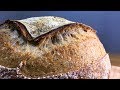 Whole Wheat Sourdough Bread Recipe｜15% Whole Wheat