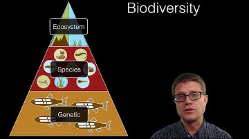 Ecosystem Diversity