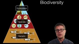 Ecosystem Diversity