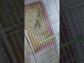عصفور المزمار