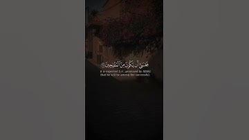 تلاوه من سورة القصص|بصوت الشيخ ياسر الدوسري🎧♥️#trending #quran #قران_كريم #راحة_نفسية #قرآن