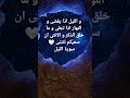 و الليل اذا يغشى و النهار اذا تجلى و ما خلق الذكر و الانثى ان سعيكم لشتى سورة الليل