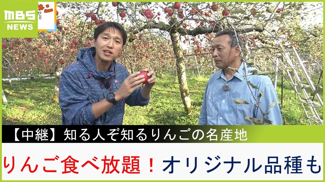 幻の品種も！？兵庫・神鍋高原で『りんご狩り』８００円で食べ放題　獲れたりんごを使った絶品アップルパイを楽しめるカフェも！【現場から生中継】（2023年10月11日）