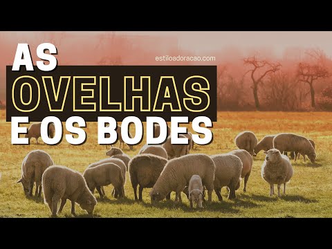 Vídeo: Separará as ovelhas dos cabritos?