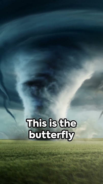 The Butterfly Effect: Chaos Theory Explained #physics #chaos #energy #butterflyeffect