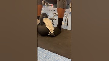 Tibial Internal Rotation Isometric