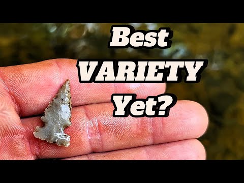 Extreme VARIETY of Native American Artifacts Found While Arrowhead Hunting! thumbnail