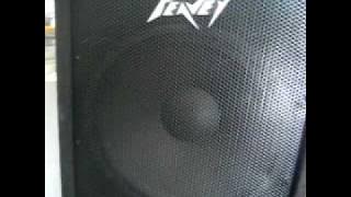 peavey pv 118