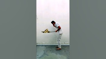 Funny snake vfx video #shorts