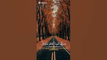 اكتب شيء تؤجر عليه 🤍 #قرآن #اكسبلور #تلاوة #ترتيل #آيات  #quran #اكسبلورexplore #viral #fypシ #fyp