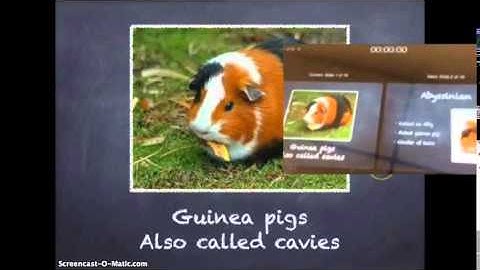 Using the iWorks for iPad update 2.2