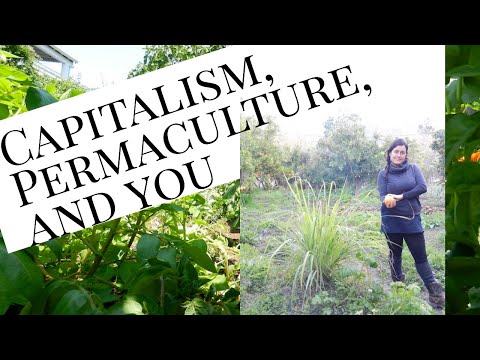 Permaculture, Capitalism, and You