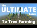 How to Farm EVERY Hytale Tree - Which is the best?