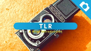 A Brief Introduction to TLRs - Kamerastore