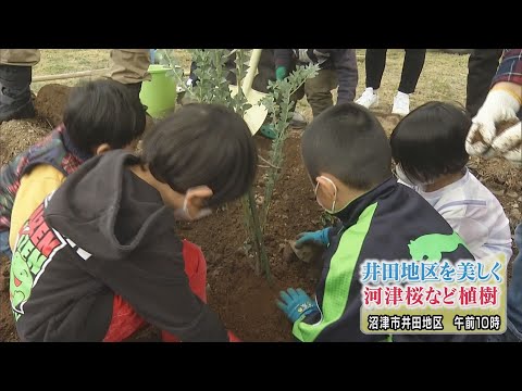 「人を呼び寄せられる地域に」　自然景観づくりに力を入れる静岡・沼津市井田地区に河津桜などの苗木を寄贈