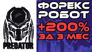 Форекс советник Predator - обзор нового торгового робота Хищник на Forex Форекс советник Predator - обзор нового торгового робота Хищник на Forex