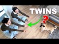 Can Our Pets Tell Twins Apart 