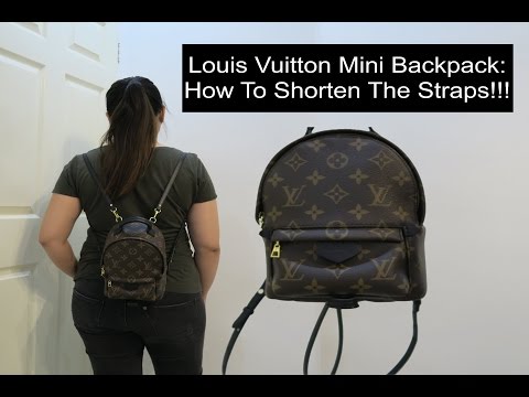 LOUIS VUITTON Calfskin Palm Springs Backpack Mini Straps Black