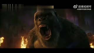 Godzilla \& Kong Vs Shimo \& Skar King - Fight Scene | GODZILLA X KONG THE NEW EMPIRE Movie CLIP 4K