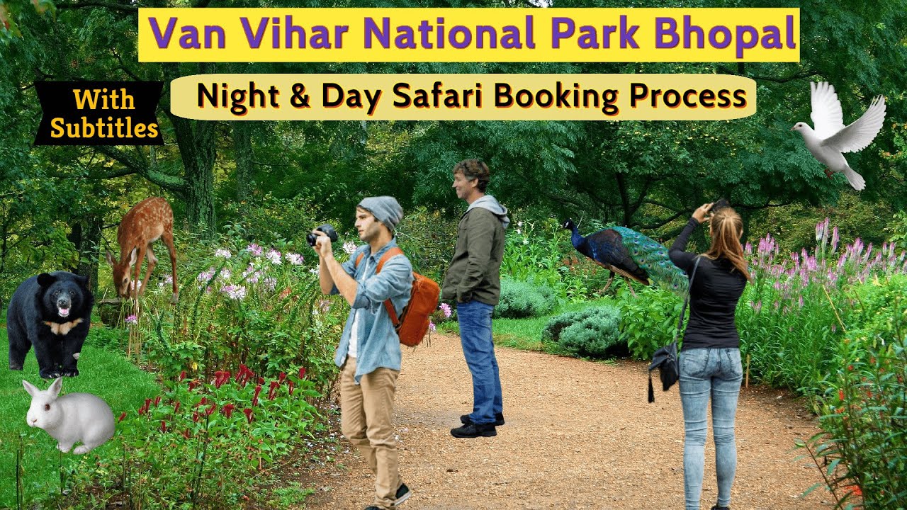 Van Vihar National Park Bhopal | Van Vihar Safari | Night Safari | Van ...