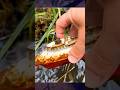 Restoring a Rusty Submarine Toy 🚢 | Satisfying Restoration #restoration #rustremova #satisfying