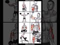 "Ultimate Upper Body Strength with Dumbbells: Build Chest, Arms & Back"?