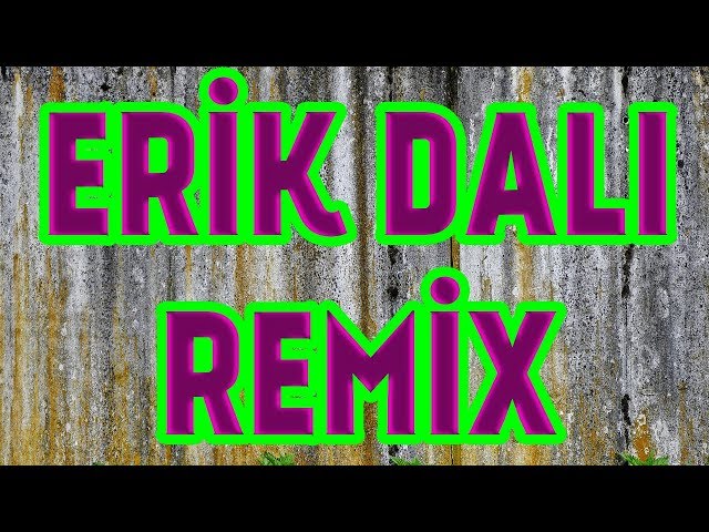 Erik Dalı Gevrektir REMİX 2017 | Ömer Faruk Bostan