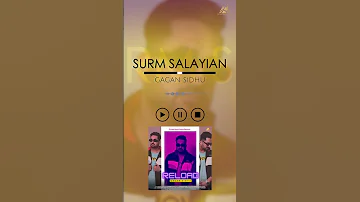 Gagan Sidhu Surm Salayian #newpunjabisong #trending #newpost #gagansidhu #2022