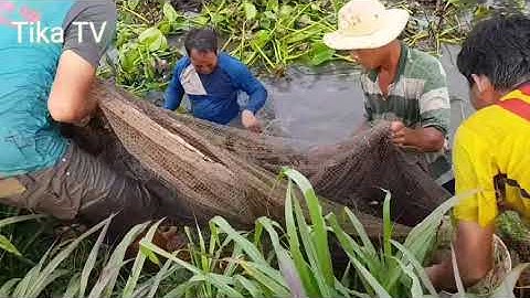 SÔNG NƯỚC MIỀN TÂY || KÉO LƯỚI KHỦNG BẮT ĐỦ LOẠI CÁ DÍNH NGUYÊN BẦY CÁ LỐC