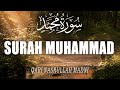        2025 سورہ محمد مکمل تلاوت