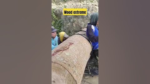 Ojek Palang Kayu: Petualangan Maut di Rute Terjal dan Ekstrem