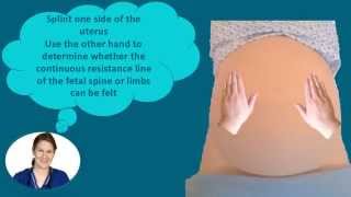 Abdominal Palpation Tutorial for Student Midwives