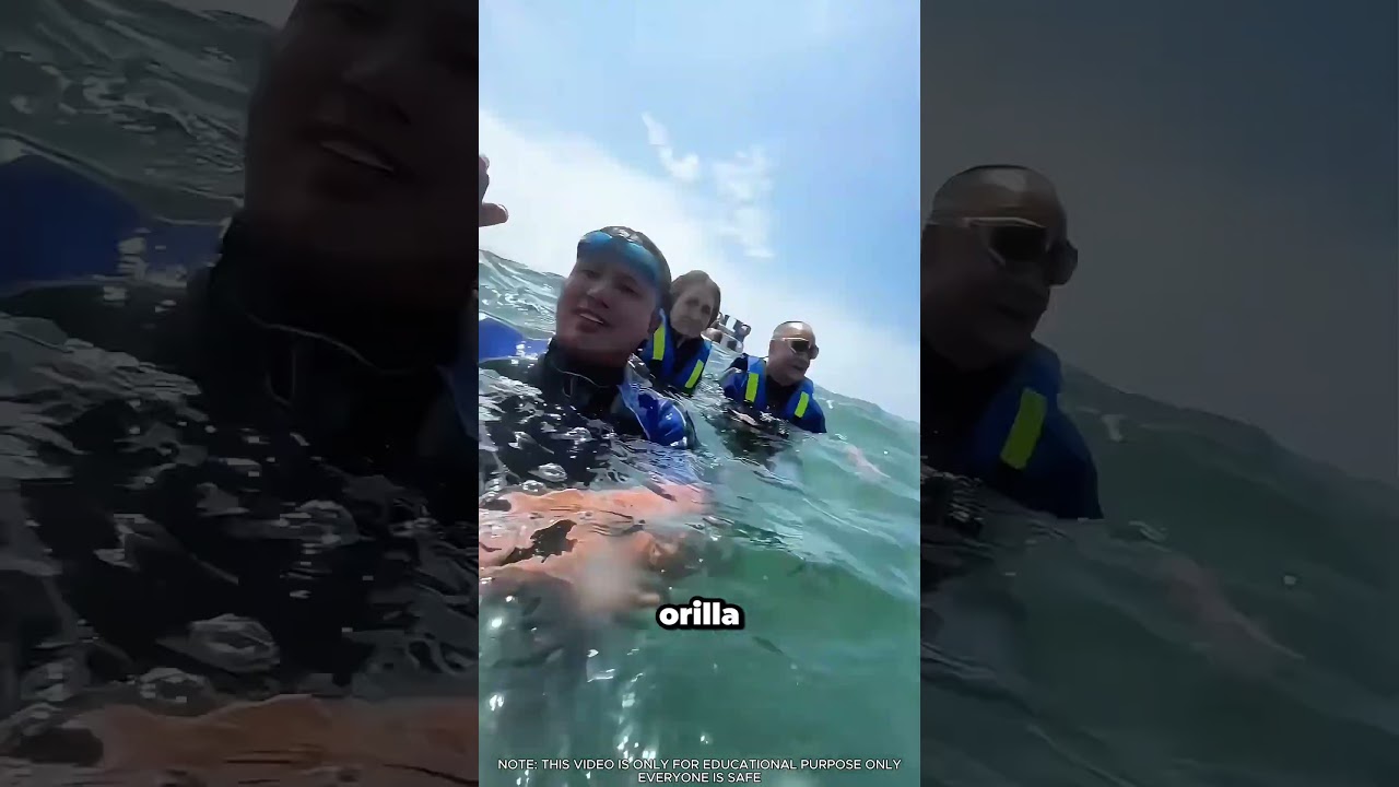 Un barco abandonado sin posibilidad de escapar #boatcrash #wildlife #survival