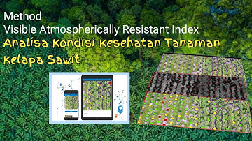 Analisa Kondisi Kesehatan Tanaman Kelapa Sawit | Visible Atmospherically Resistant Index (VARI)