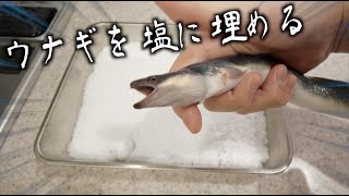 ウナギを塩に埋める