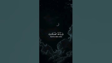 اكتب شيء تؤجر عليه 🤎🎧 #القارئ ياسر الدوسري