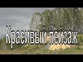 Красивый пейзаж. Природа Тогучинского района. Новосибирская область.