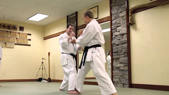Karate By Jesse Greatest Hits Seminar US