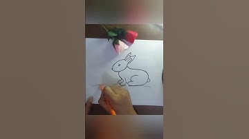 Rabbit drawing #youtubeshorts #rabbit easy draw