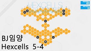 헥셀 Hexcells Level 5-4