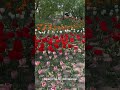 Красота по китайски